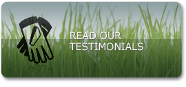 Our Testimonials